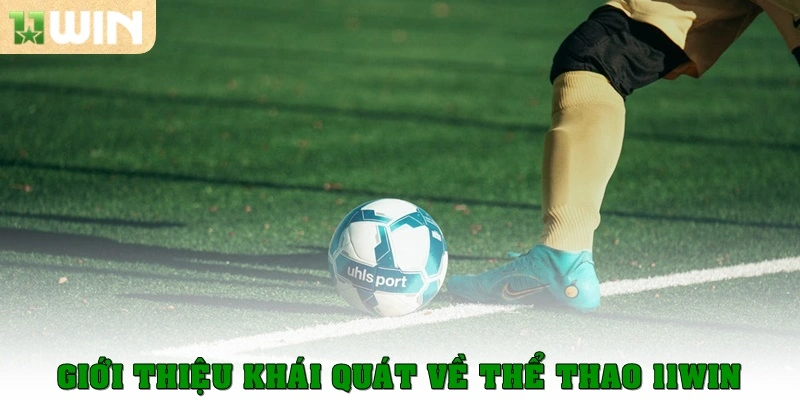 Giới thiệu khái quát về Thể thao 11win