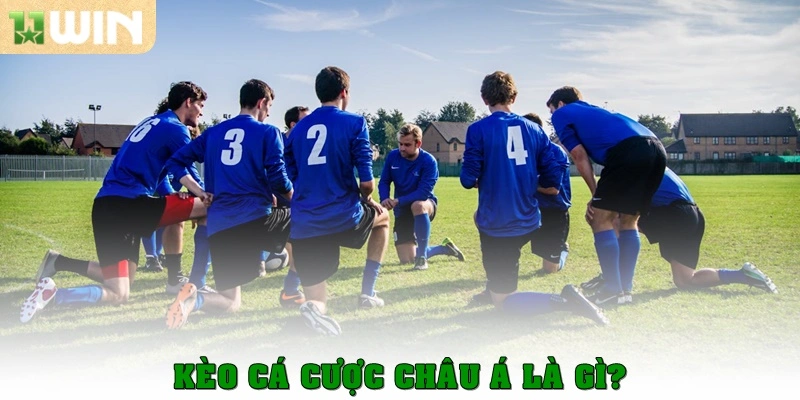 Kèo cá cược châu Á là gì?