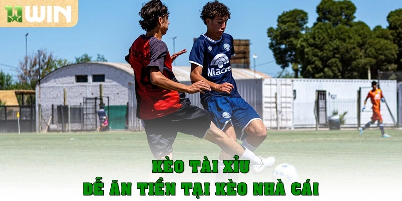 Kèo tài xỉu dễ ăn tiền tại kèo nhà cái
