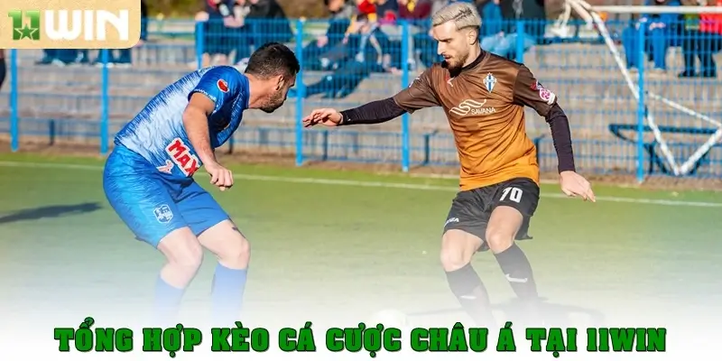 Tổng hợp kèo cá cược châu Á tại 11win