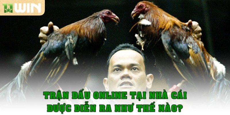 Trận đấu online tại nhà cái được diễn ra như thế nào?